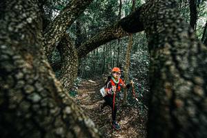 BIB: 
                            <button type="button" onclick="openModal(25392404)" class="btn btn-primary btn-sm float-right btn-popup" data-toggle="modal" data-target=".modal-high-quality">
                        <i class="fas fa-shopping-cart"></i> Add to Cart
                    </button>
                                            <button type="button" onclick="isThisMe(25392404, true)" class="btn btn-success btn-sm float-right btn-popup btn-isme hidden" data-toggle="tooltip" data-placement="bottom" title="นี่คือรูปของคุณใช่ไหม คลิกที่นี่เพื่อเอาเข้าอัลบั้ม">
                        <i class="fas fa-plus"></i> Add to album
                    </button>
                    <button type="button" onclick="isThisMe(25392404, false)" class="btn btn-warning btn-sm float-right btn-popup btn-isnotme hidden">
                        <i class="fas fa-ban"></i> Remove from album
                    </button>